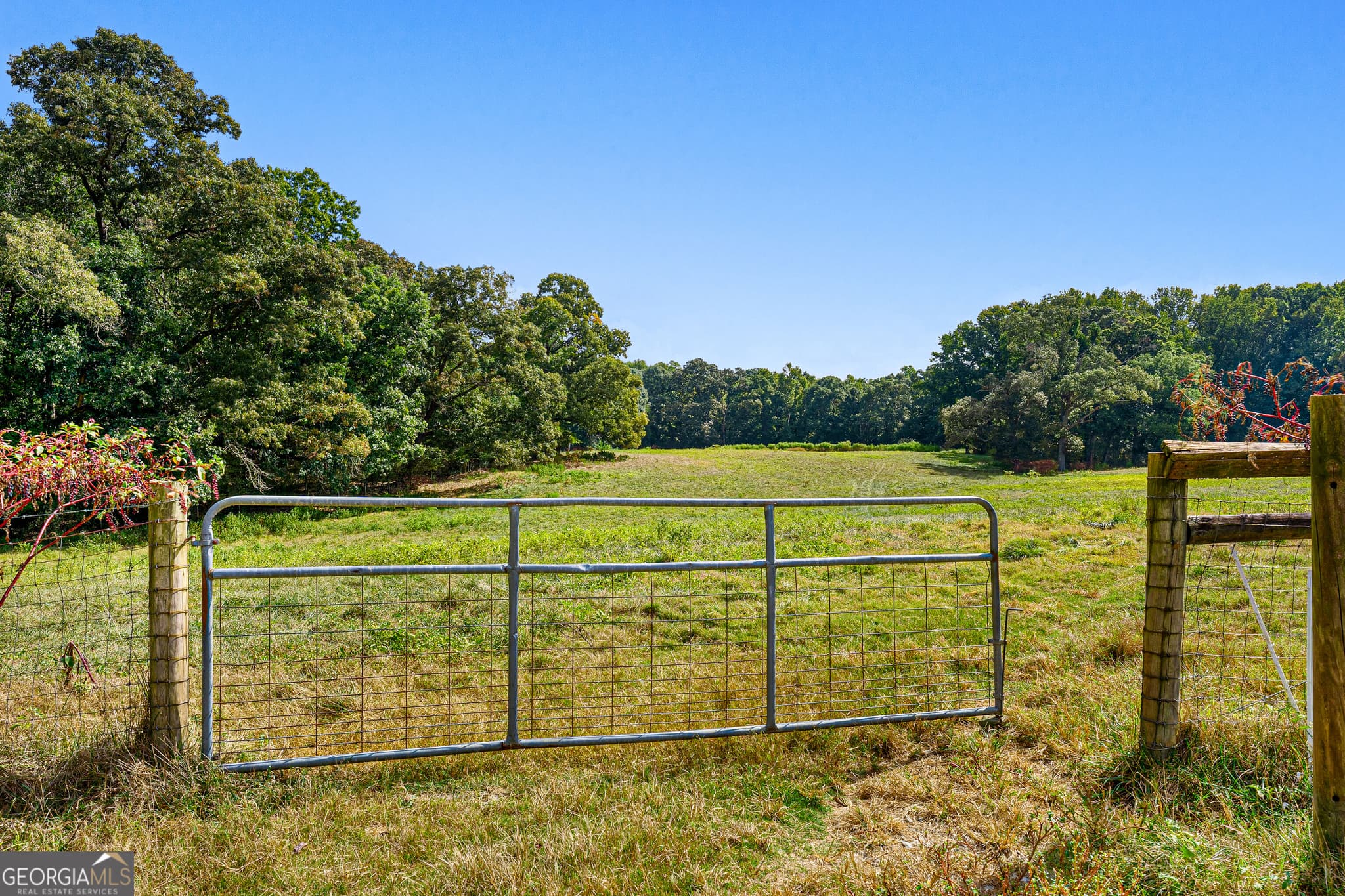 agriculture for sale at 5289 Royston Hwy, Canon, GA 30520 — photo 6
