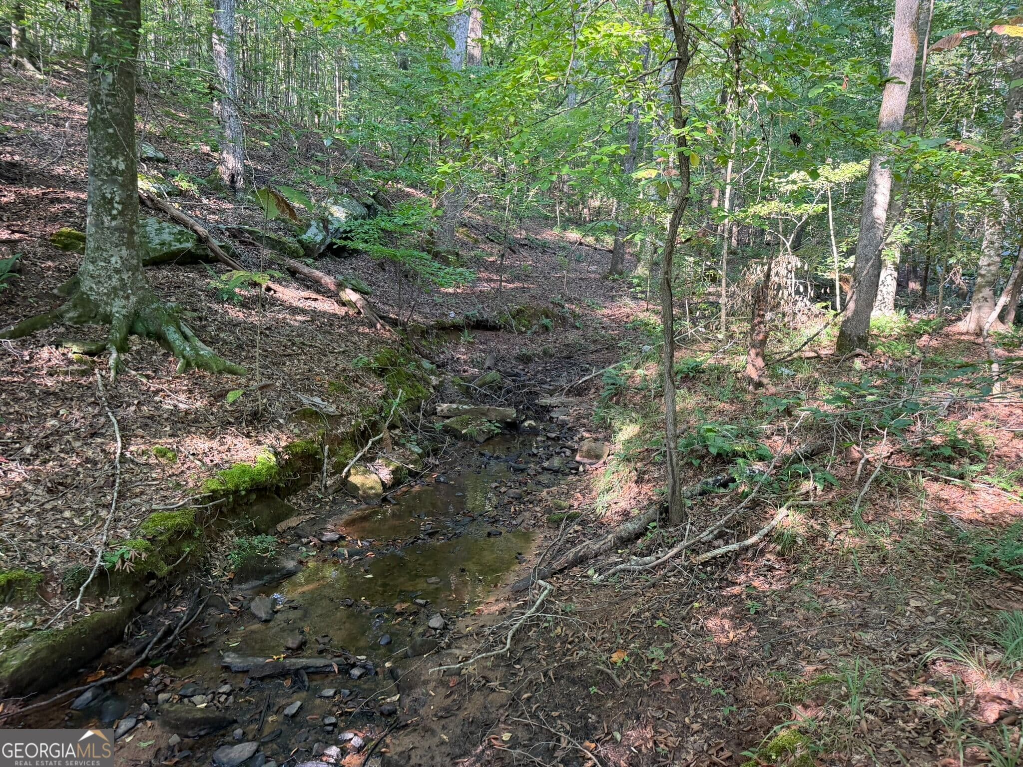agriculture for sale at 17 ACRES Carlisle Gap Road, Woodland, GA 31836 — photo 9