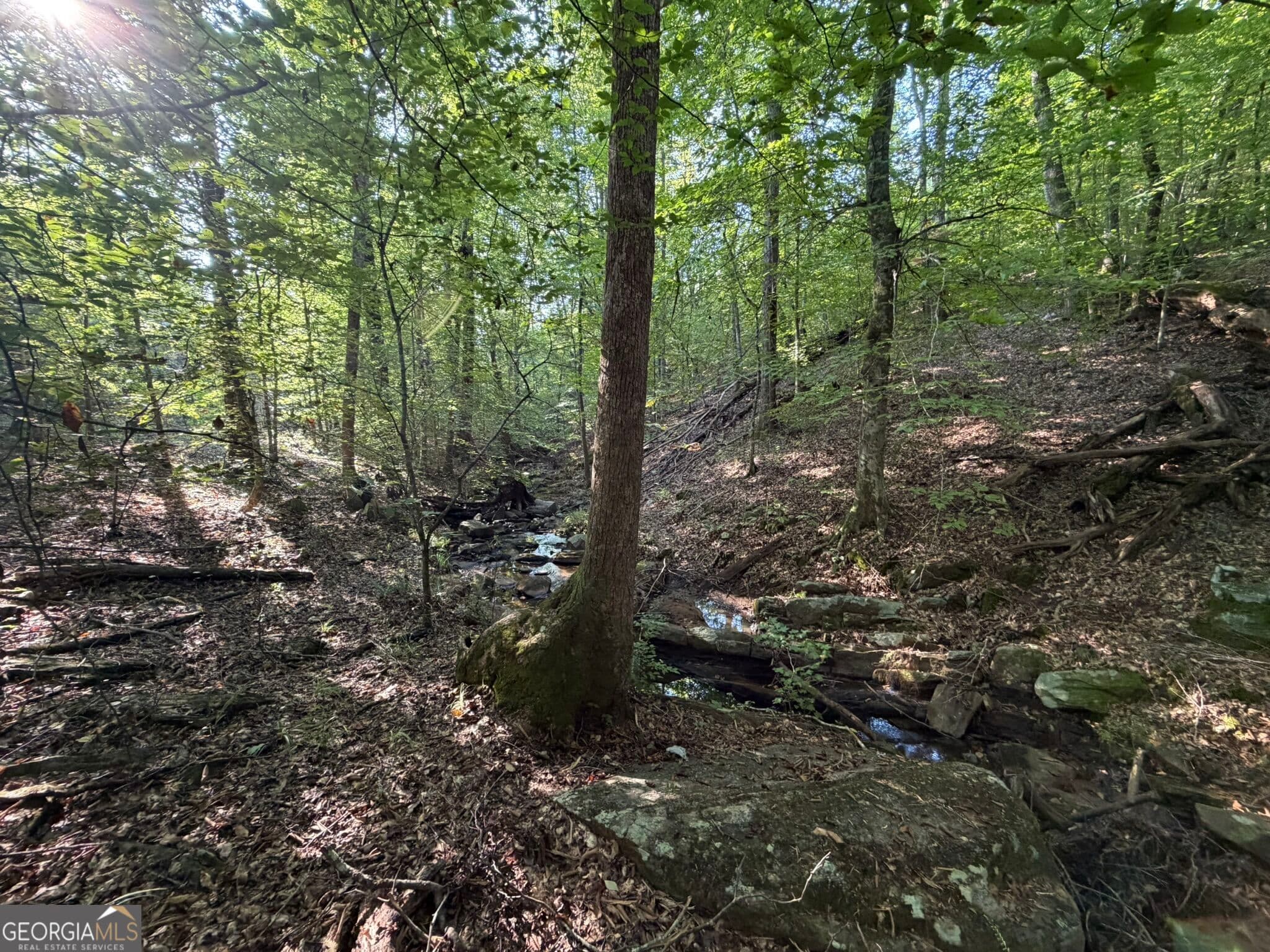 agriculture for sale at 17 ACRES Carlisle Gap Road, Woodland, GA 31836 — photo 10