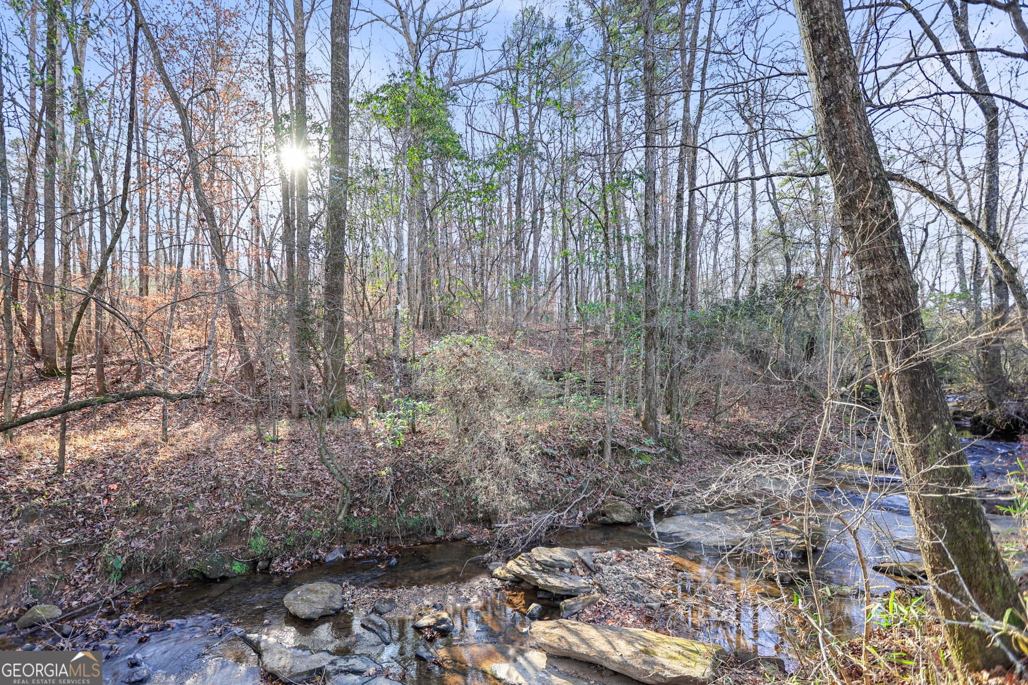 residential lot for sale at 52.2 AC Franklin Parkway, Franklin, GA 30217 — photo 2