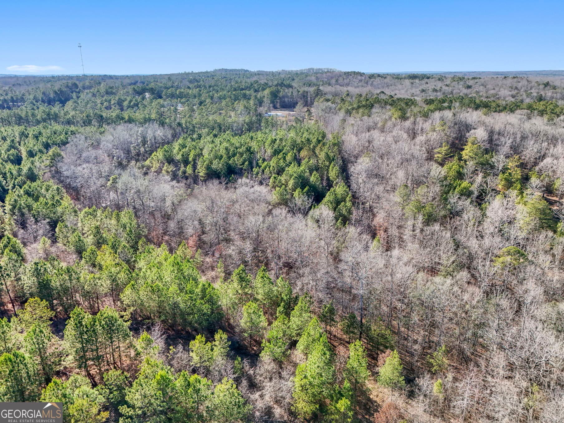 residential lot for sale at 52.2 AC Franklin Parkway, Franklin, GA 30217 — photo 7