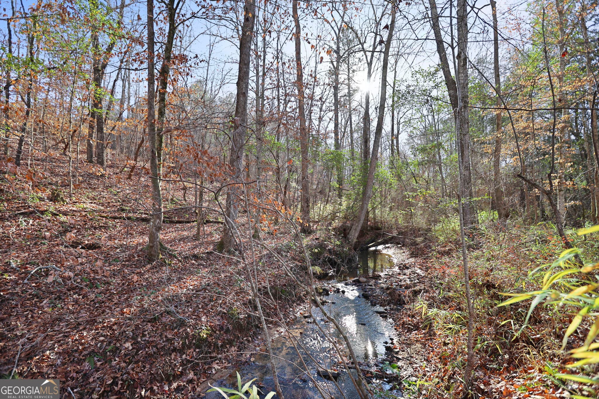 residential lot for sale at 52.2 AC Franklin Parkway, Franklin, GA 30217 — photo 3