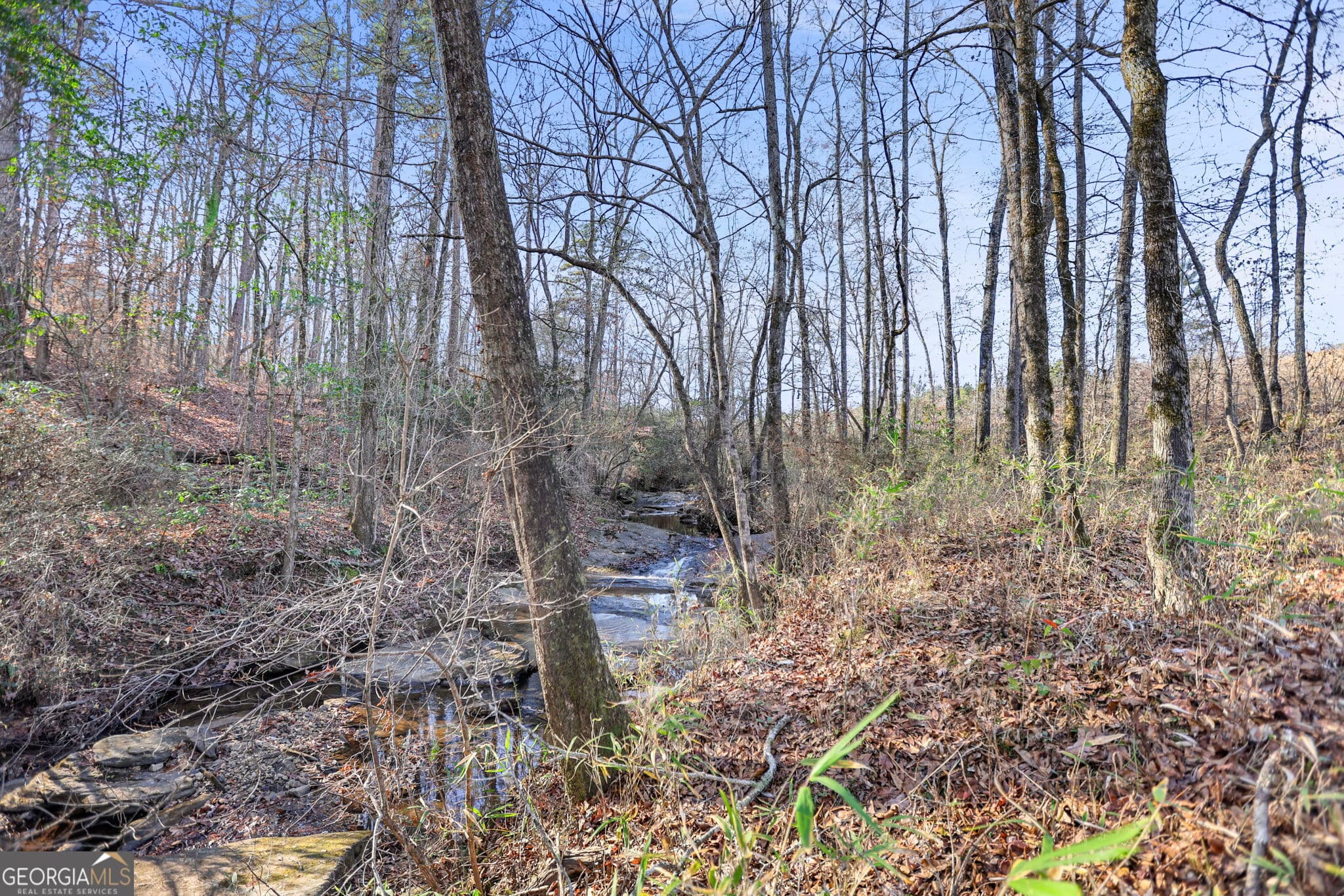 residential lot for sale at 52.2 AC Franklin Parkway, Franklin, GA 30217 — photo 1 of 58