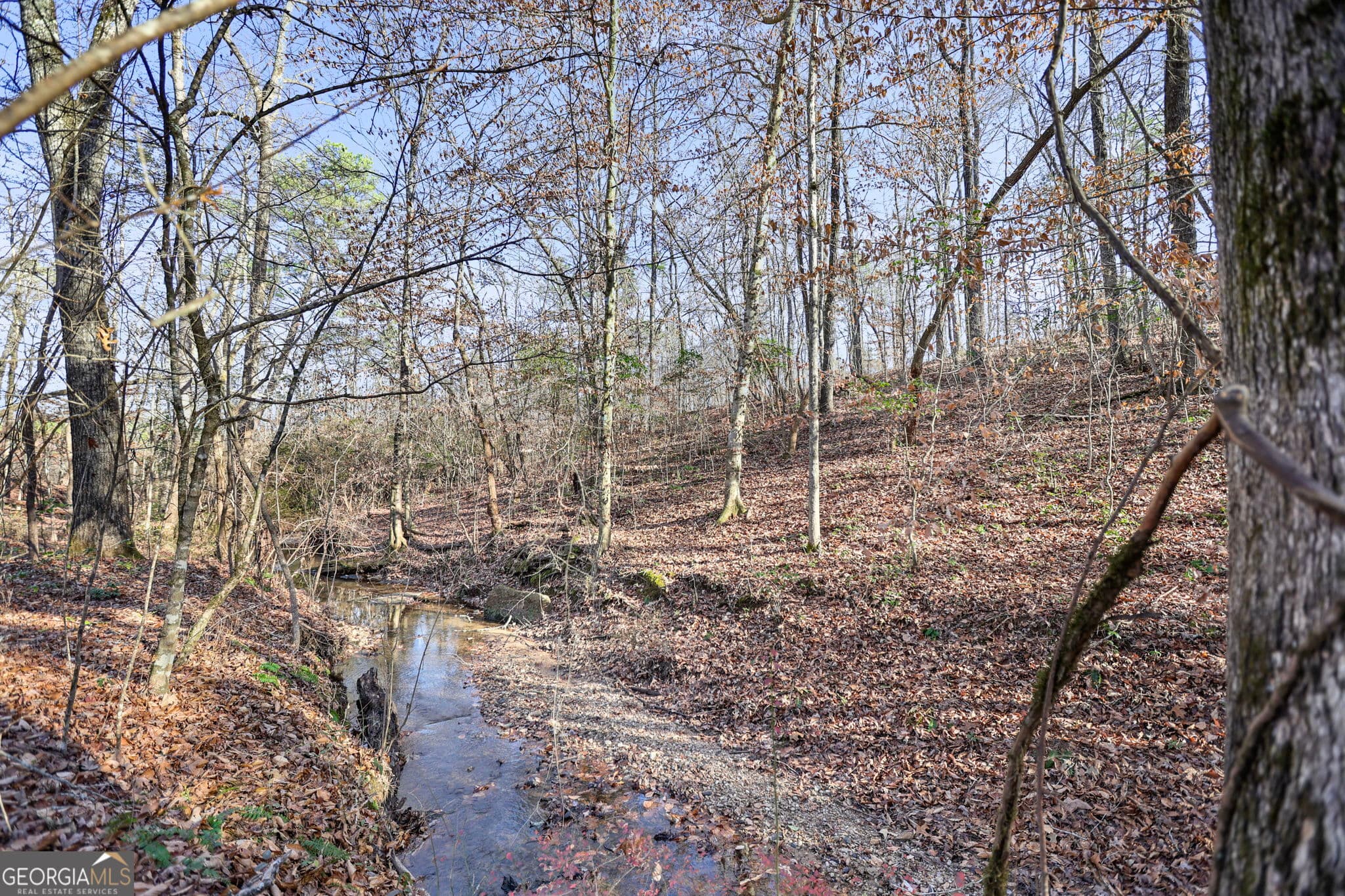 residential lot for sale at 52.2 AC Franklin Parkway, Franklin, GA 30217 — photo 9