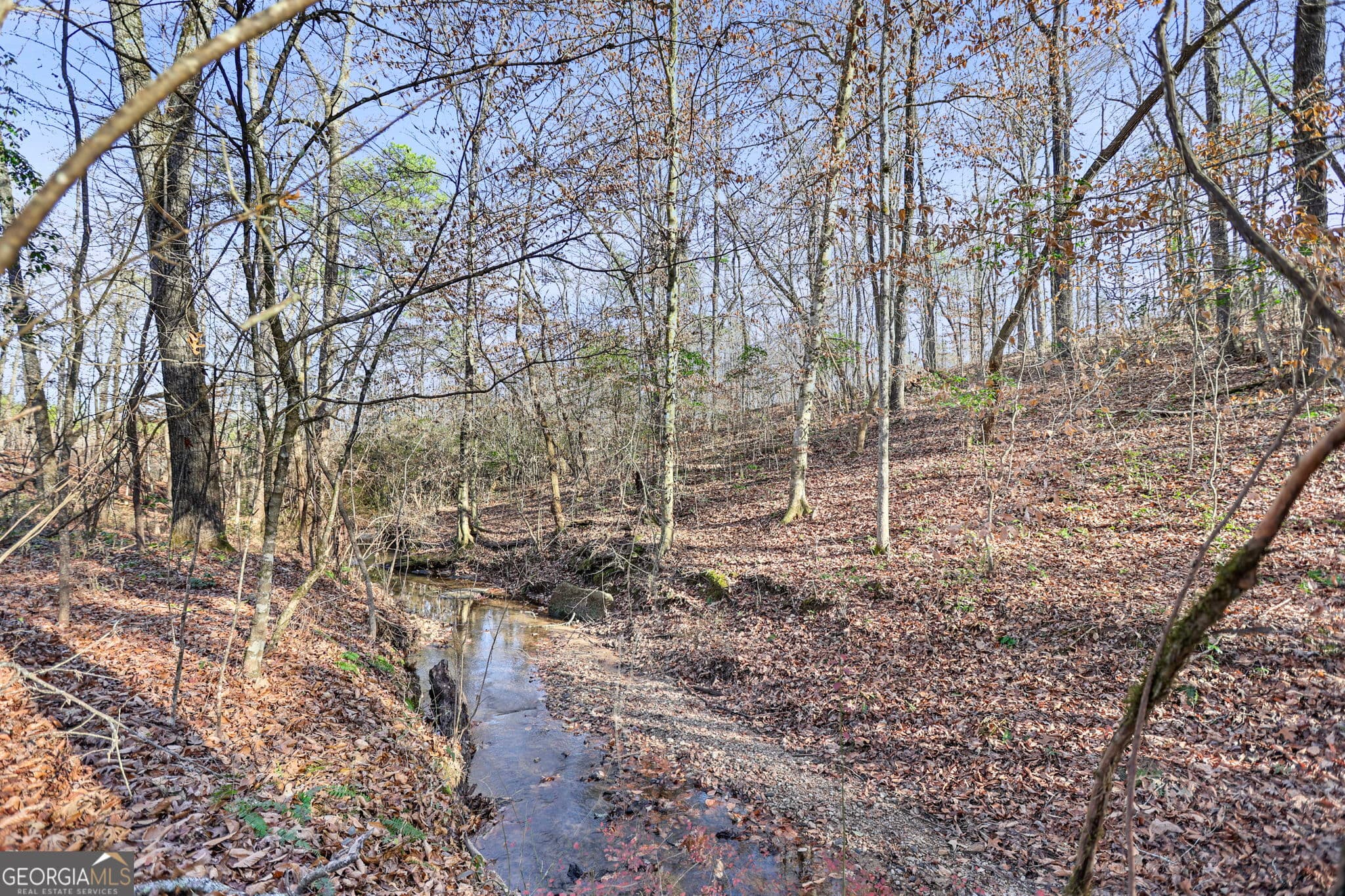 residential lot for sale at 52.2 AC Franklin Parkway, Franklin, GA 30217 — photo 10
