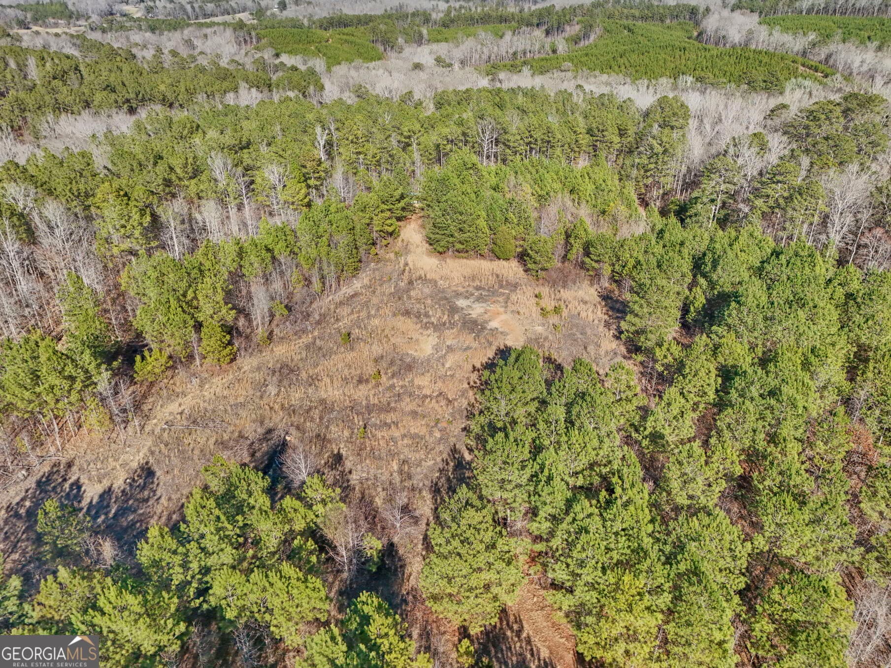 residential lot for sale at 52.2 AC Franklin Parkway, Franklin, GA 30217 — photo 4