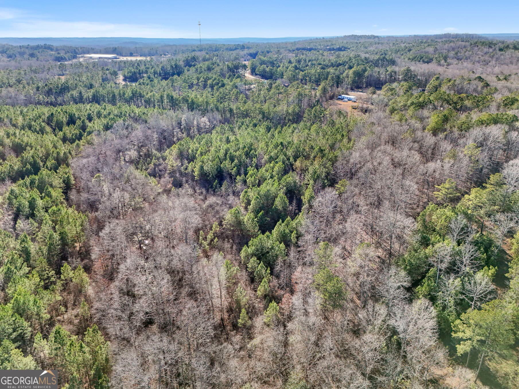 residential lot for sale at 52.2 AC Franklin Parkway, Franklin, GA 30217 — photo 8