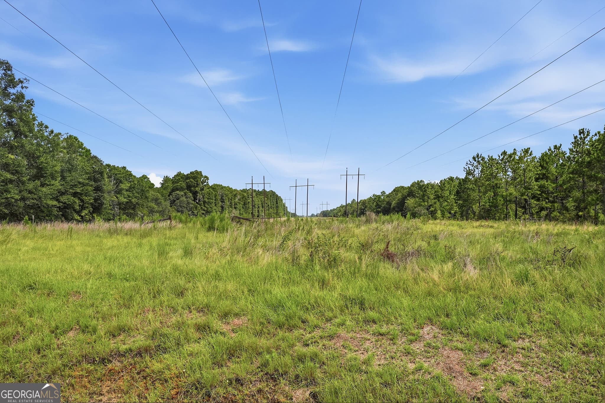 unimproved land for sale at 650 Benjamin H Hill Drive, Fitzgerald, GA 31750 — photo 6