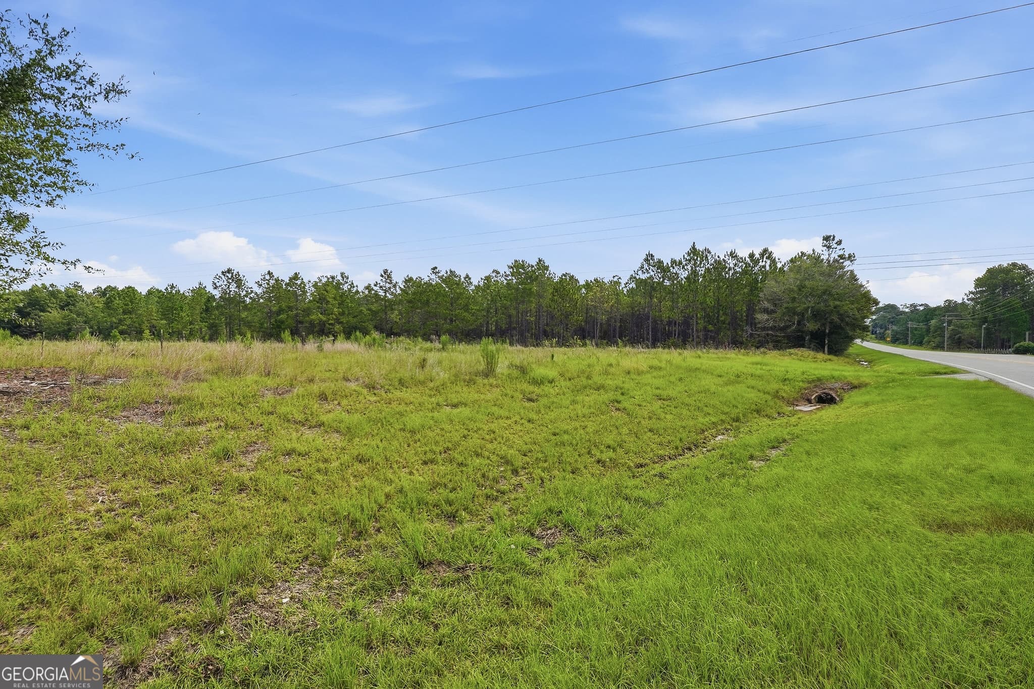 unimproved land for sale at 650 Benjamin H Hill Drive, Fitzgerald, GA 31750 — photo 7