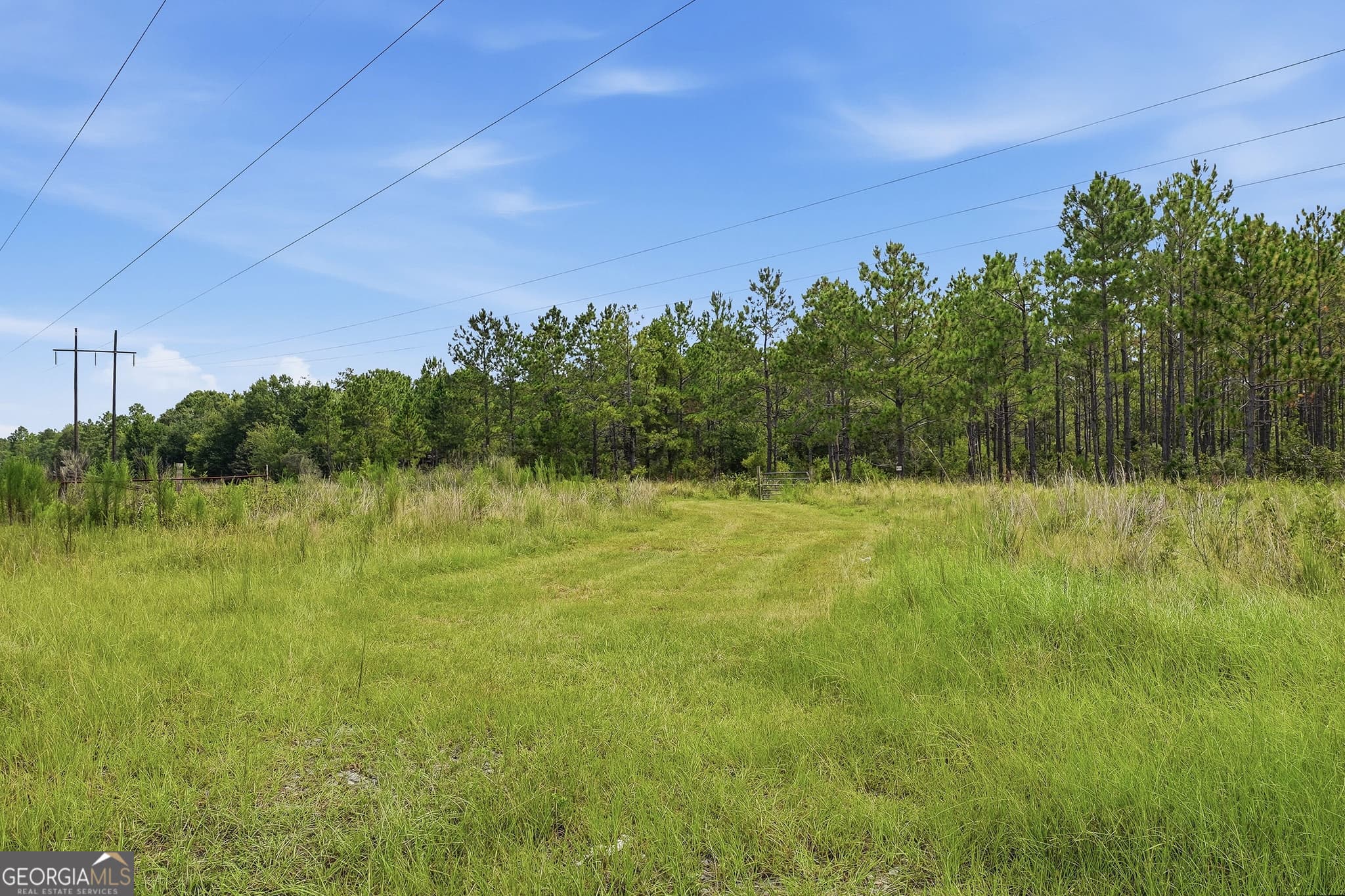 unimproved land for sale at 650 Benjamin H Hill Drive, Fitzgerald, GA 31750 — photo 5
