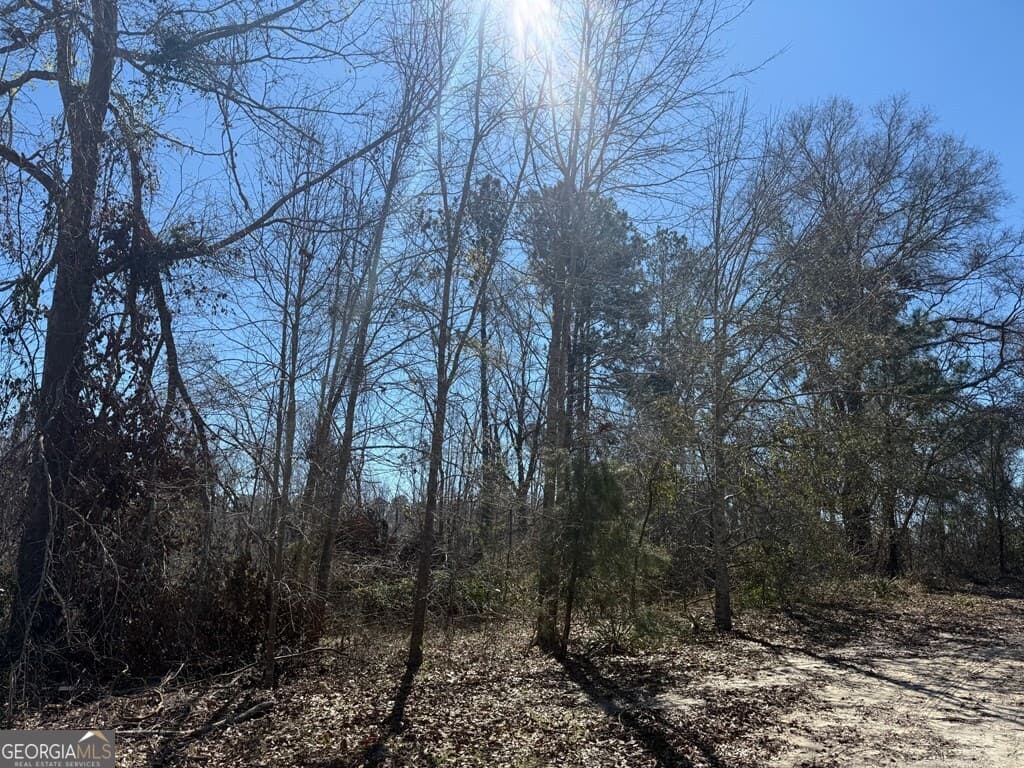 land for sale at 0 Wragler Trail (LOT), Hazlehurst, GA 31539 — photo 2