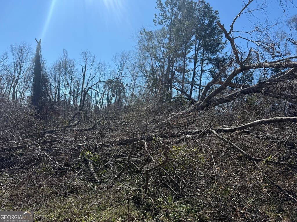 land for sale at 0 Wragler Trail (LOT), Hazlehurst, GA 31539 — photo 3