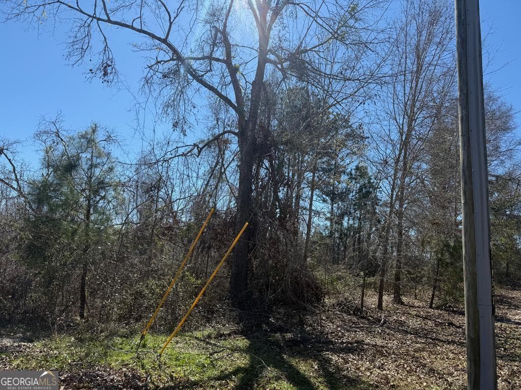 land for sale at 0 Wragler Trail (LOT), Hazlehurst, GA 31539 — photo 1 of 5