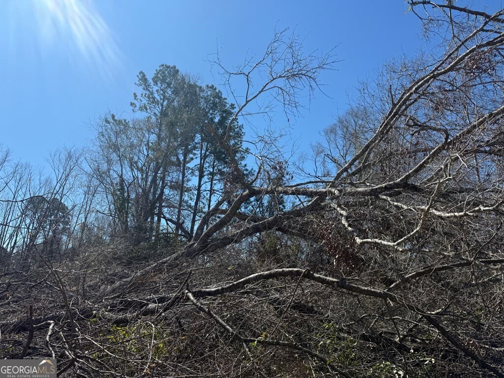 land for sale at 0 Wragler Trail (LOT), Hazlehurst, GA 31539 — photo 5