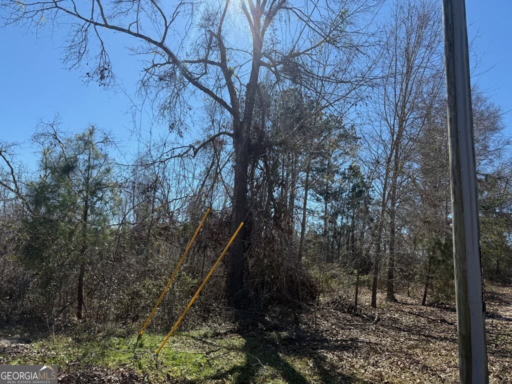 land for sale at 0 Wragler Trail (LOT), Hazlehurst, GA 31539 — photo 4