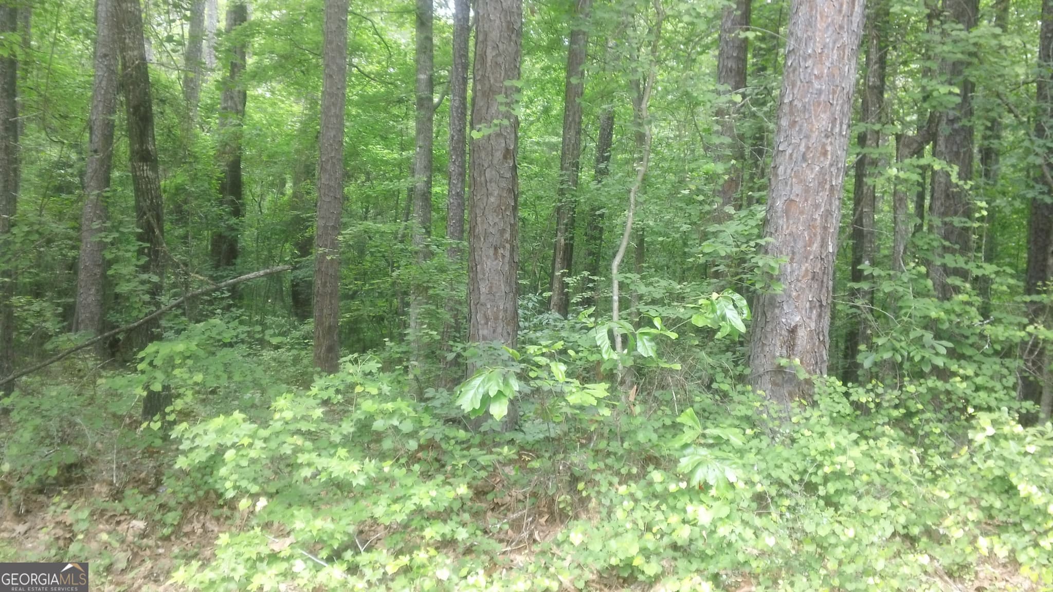 residential lot for sale at 0 Woodduck Court, Monticello, GA 31064 — photo 6