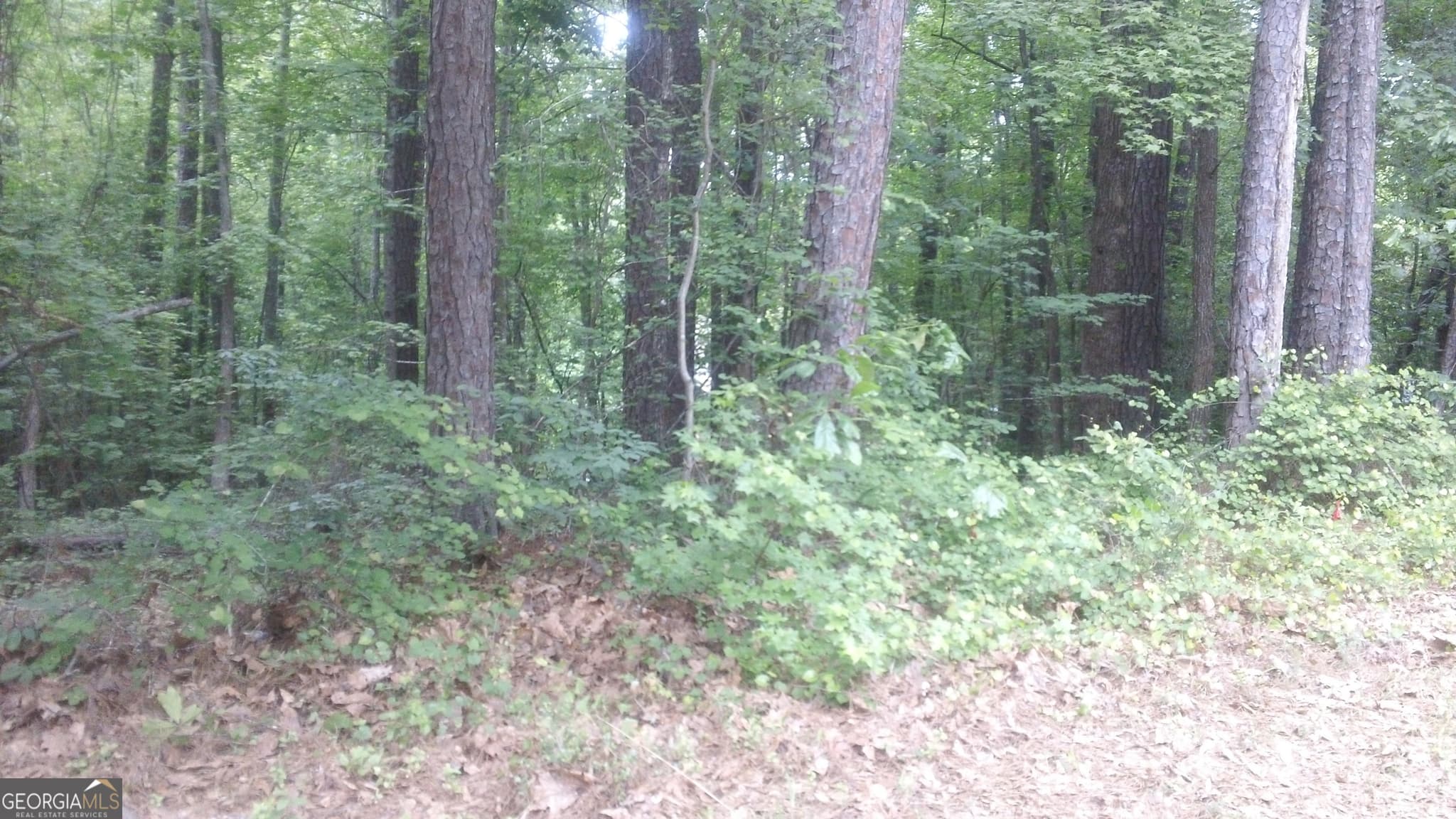 residential lot for sale at 0 Woodduck Court, Monticello, GA 31064 — photo 7