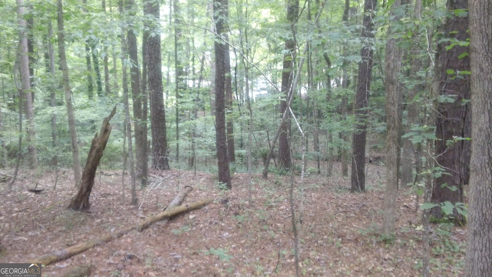 residential lot for sale at 0 Woodduck Court, Monticello, GA 31064 — photo 3