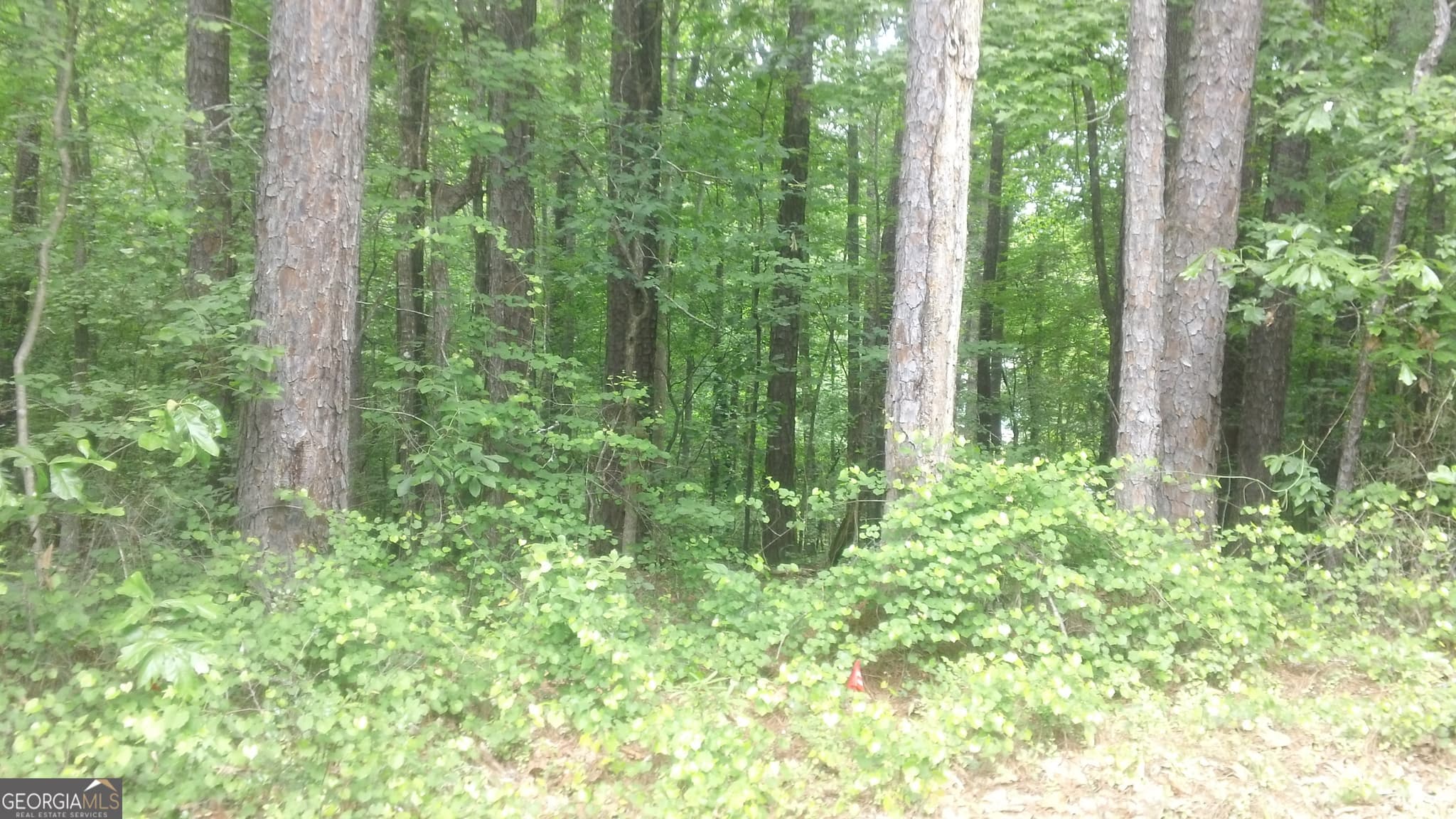 residential lot for sale at 0 Woodduck Court, Monticello, GA 31064 — photo 5