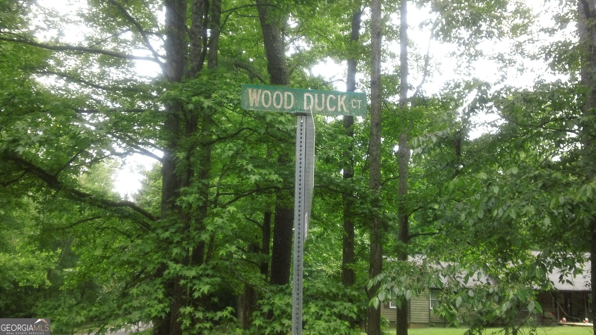 residential lot for sale at 0 Woodduck Court, Monticello, GA 31064 — photo 10