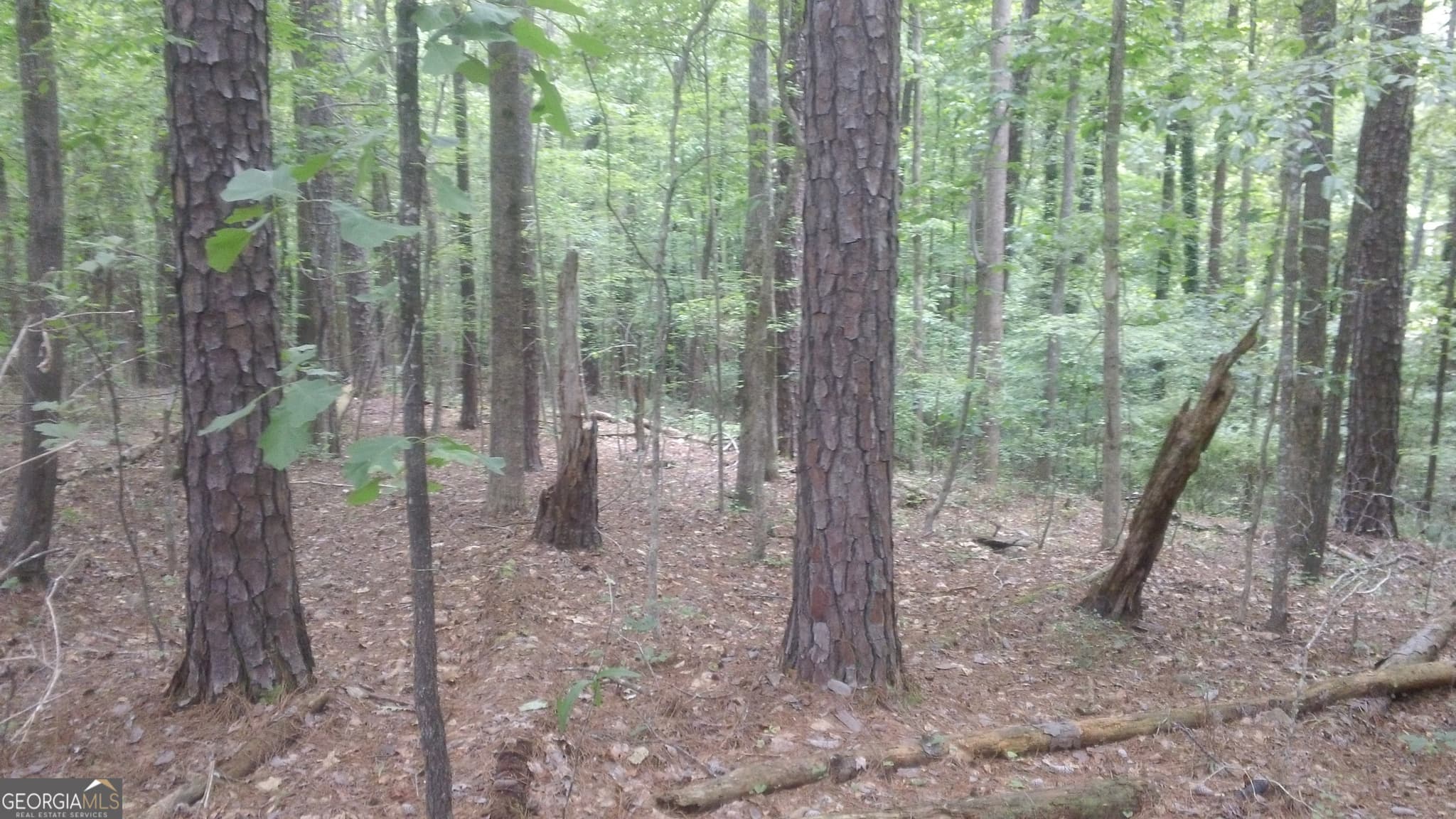 residential lot for sale at 0 Woodduck Court, Monticello, GA 31064 — photo 4