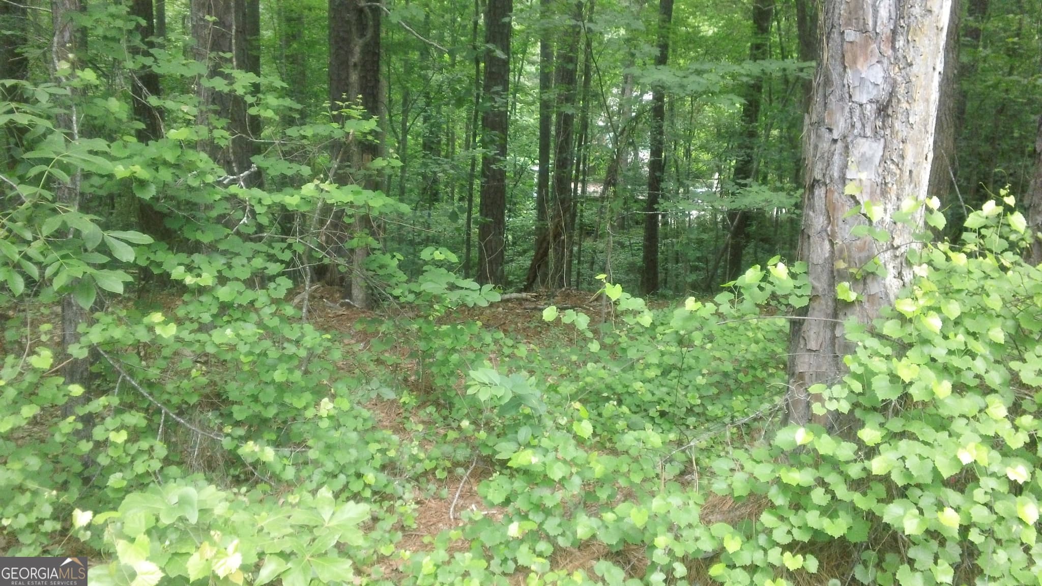 residential lot for sale at 0 Woodduck Court, Monticello, GA 31064 — photo 8