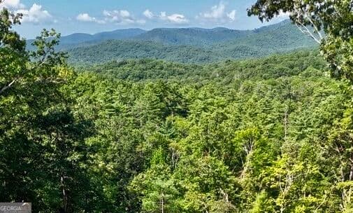 residential lot for sale at LOTS 12 &14 Crows Nest, Clayton, GA 30525 — photo 3