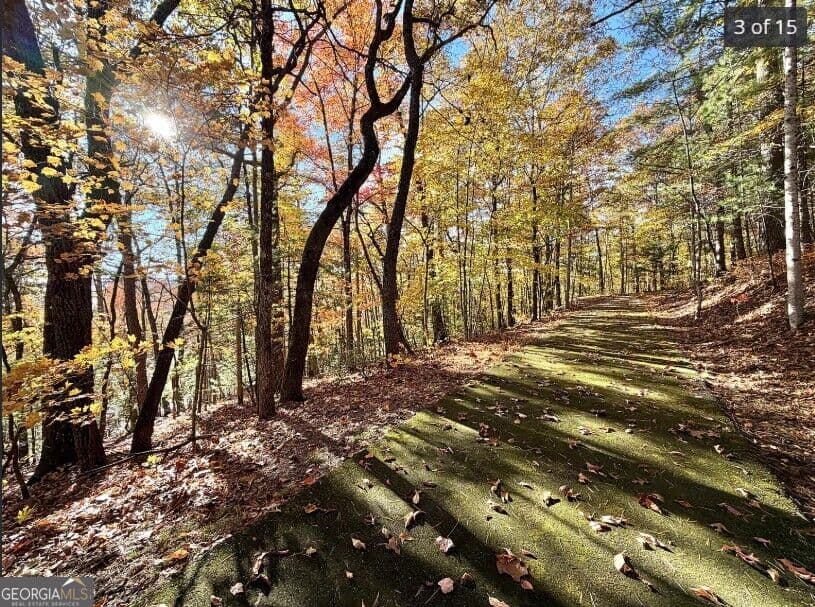 residential lot for sale at LOTS 12 &14 Crows Nest, Clayton, GA 30525 — photo 9