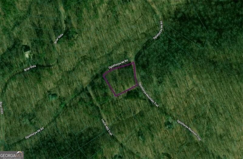 residential lot for sale at 0 Oglethorpe Mountain Road, Jasper, GA 30143 — photo 2