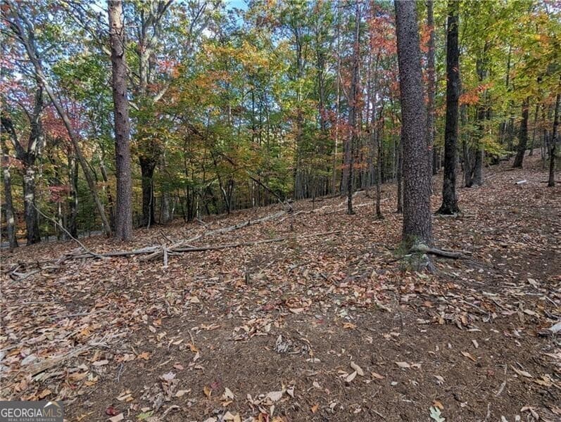 residential lot for sale at 0 Oglethorpe Mountain Road, Jasper, GA 30143 — photo 6