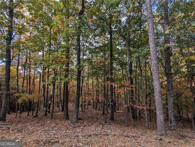 residential lot for sale at 0 Oglethorpe Mountain Road, Jasper, GA 30143 — photo 1 of 9