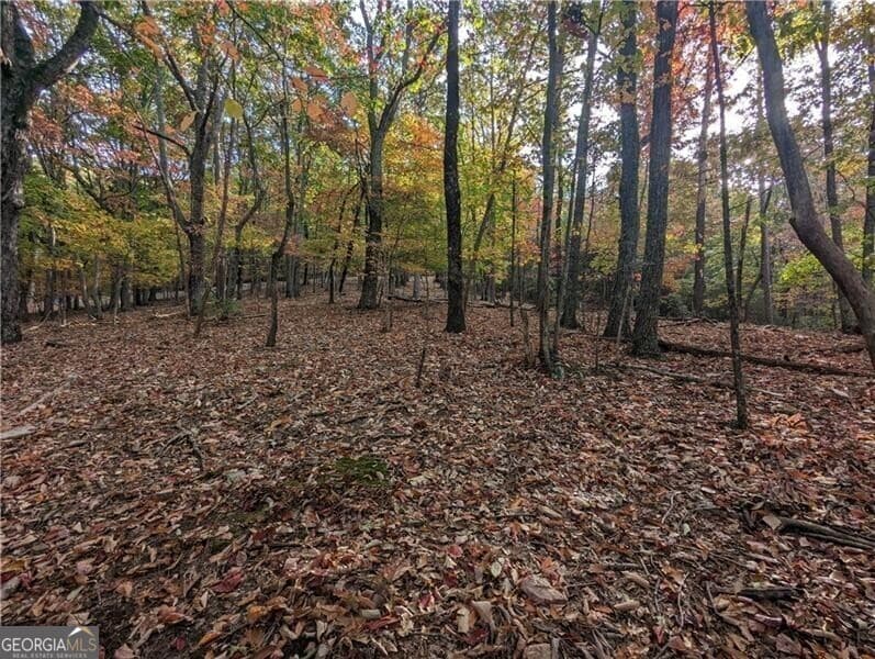 residential lot for sale at 0 Oglethorpe Mountain Road, Jasper, GA 30143 — photo 5