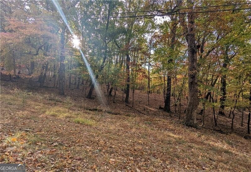 residential lot for sale at 0 Oglethorpe Mountain Road, Jasper, GA 30143 — photo 4