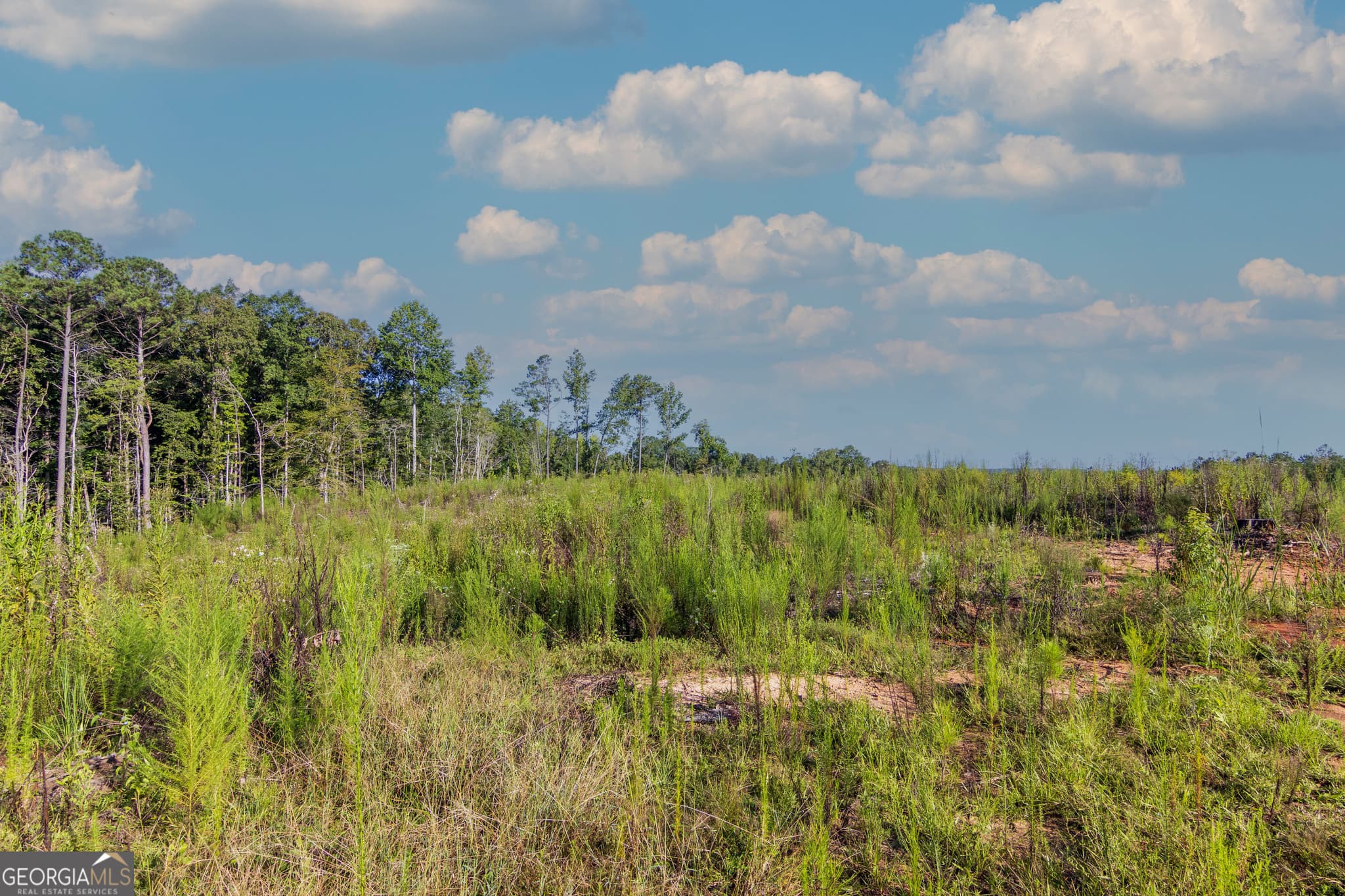 unimproved land for sale at TRACT 1 Highway 0036, Woodland, GA 31836 — photo 2