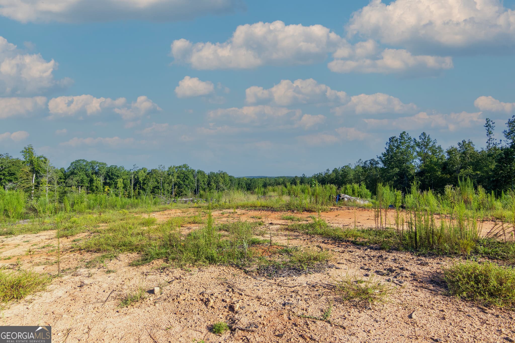 unimproved land for sale at TRACT 1 Highway 0036, Woodland, GA 31836 — photo 6