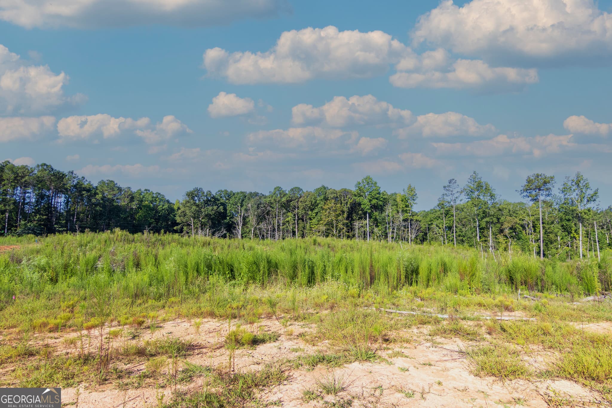 unimproved land for sale at TRACT 1 Highway 0036, Woodland, GA 31836 — photo 7