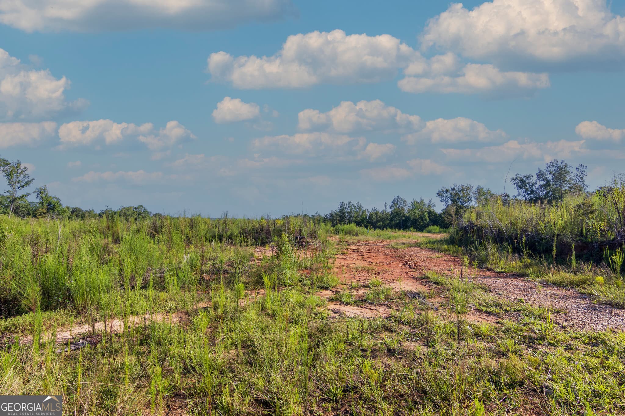 unimproved land for sale at TRACT 1 Highway 0036, Woodland, GA 31836 — photo 3
