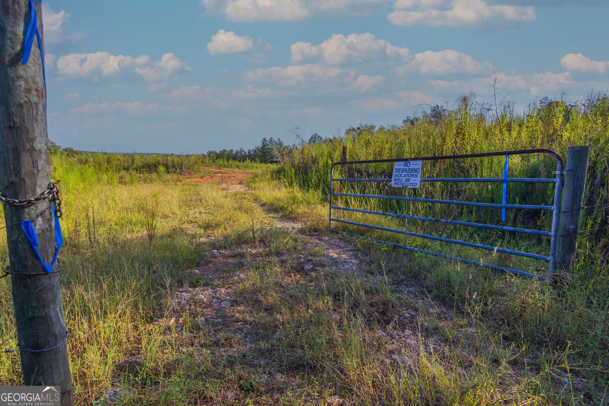 unimproved land for sale at TRACT 1 Highway 0036, Woodland, GA 31836
