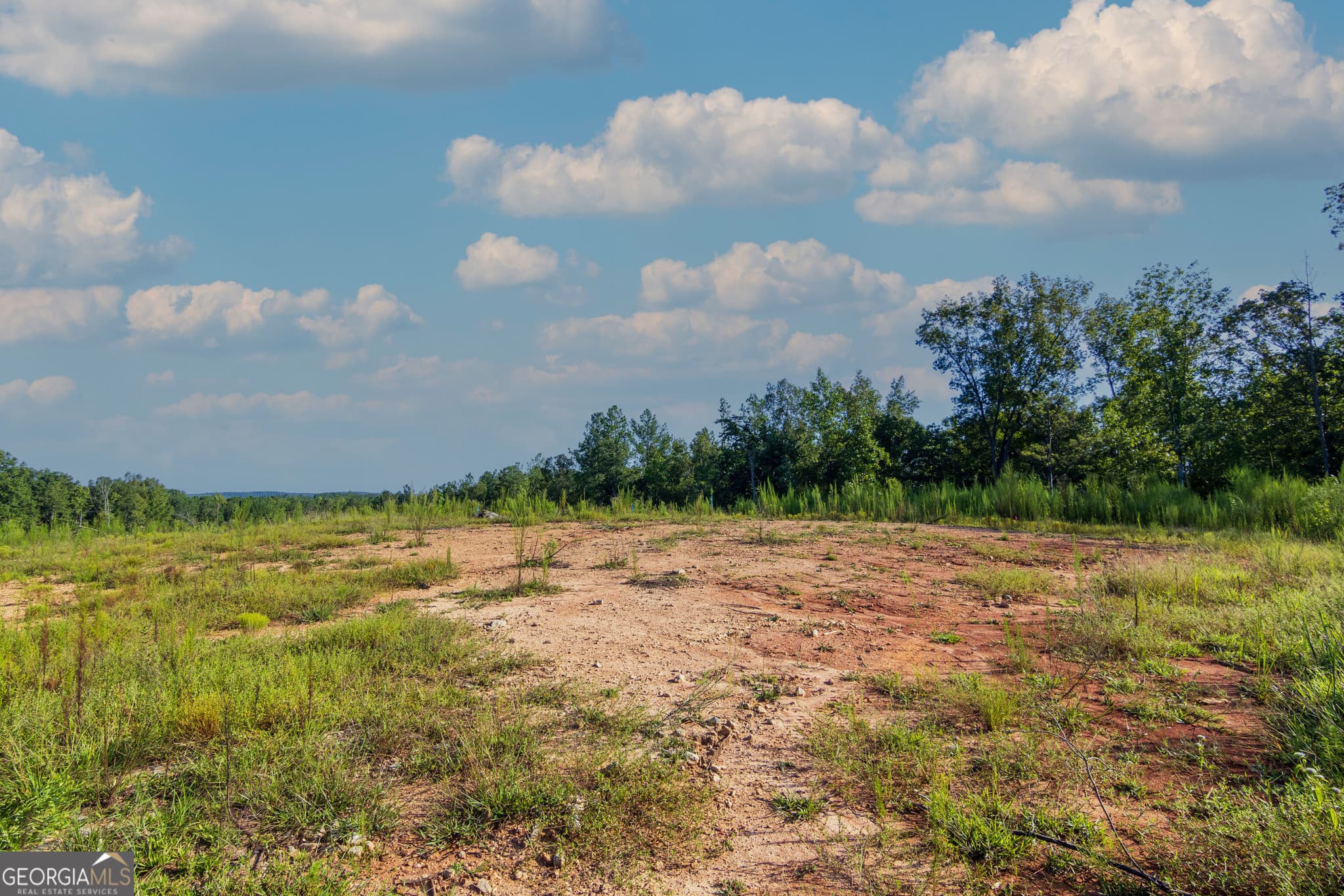 unimproved land for sale at TRACT 1 Highway 0036, Woodland, GA 31836 — photo 5