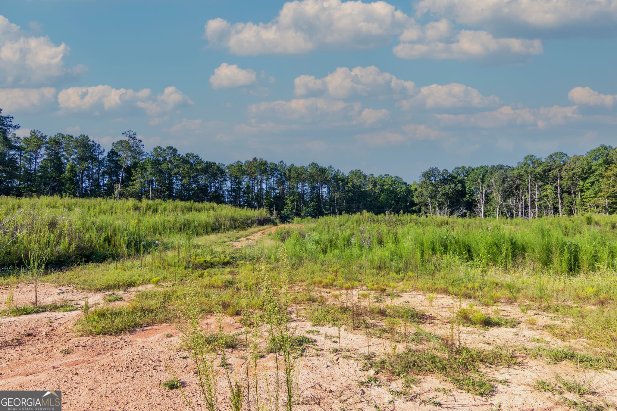unimproved land for sale at TRACT 1 Highway 0036, Woodland, GA 31836 — photo 9