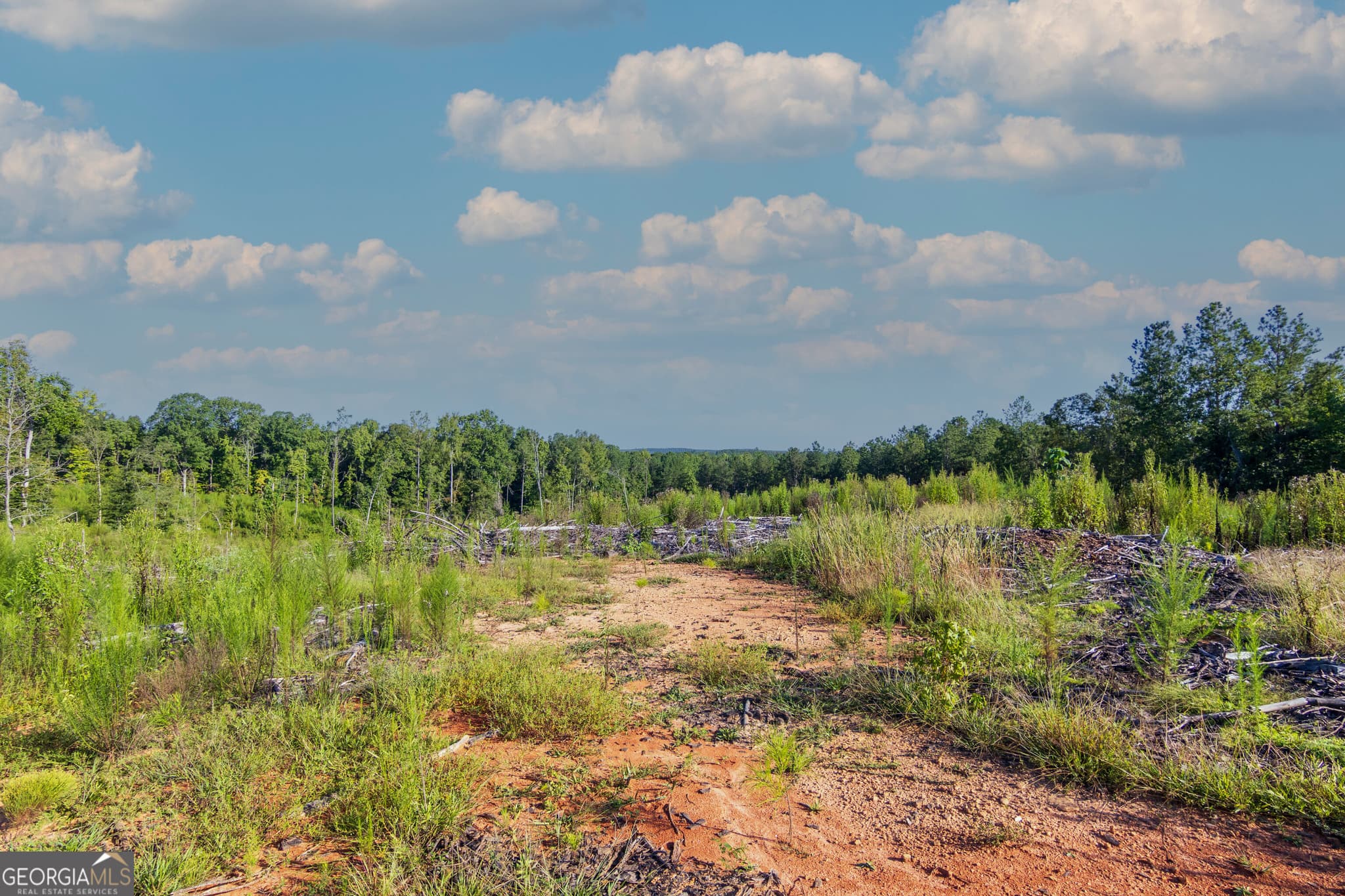 unimproved land for sale at TRACT 1 Highway 0036, Woodland, GA 31836 — photo 10