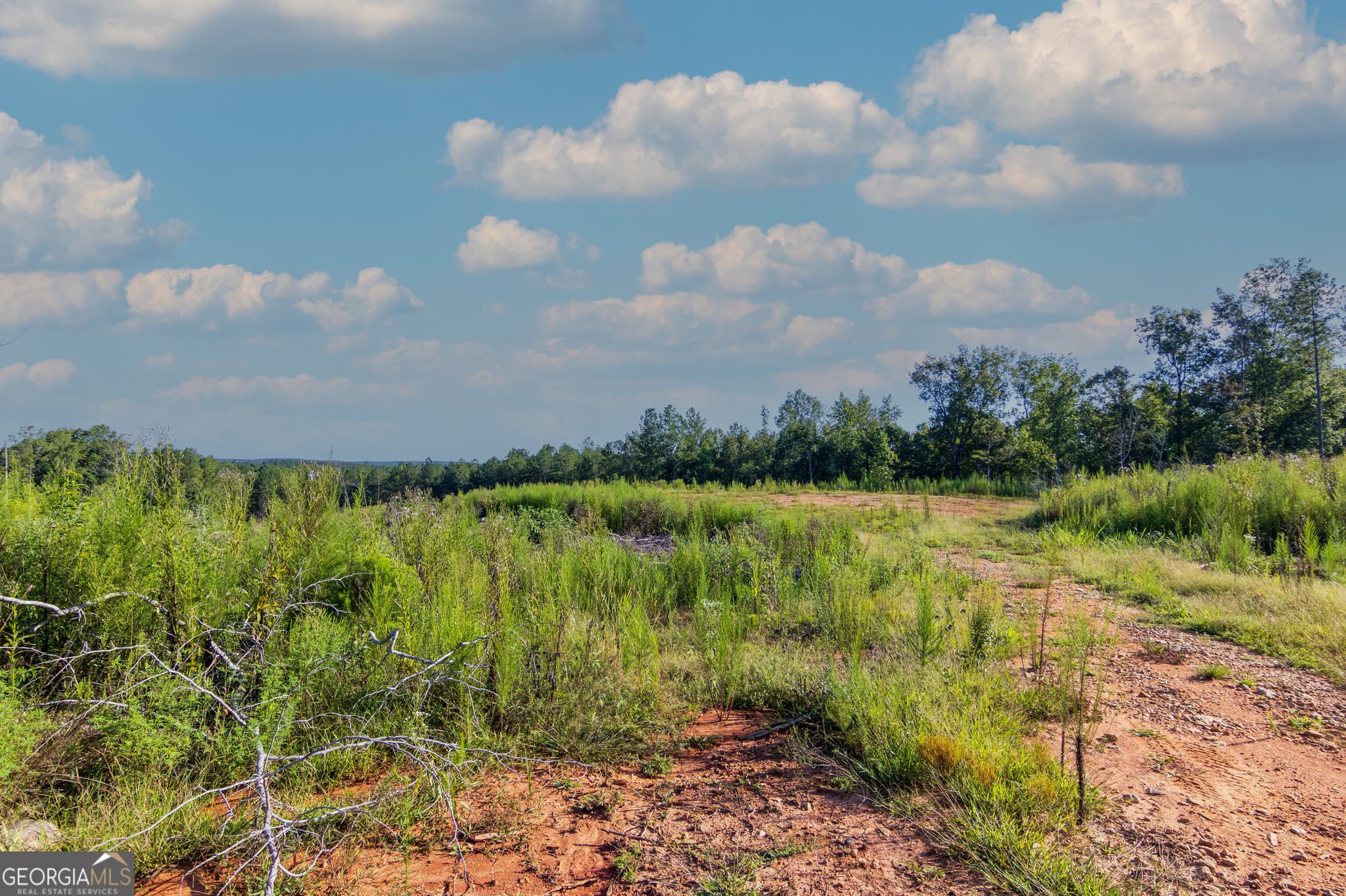 unimproved land for sale at TRACT 1 Highway 0036, Woodland, GA 31836 — photo 4