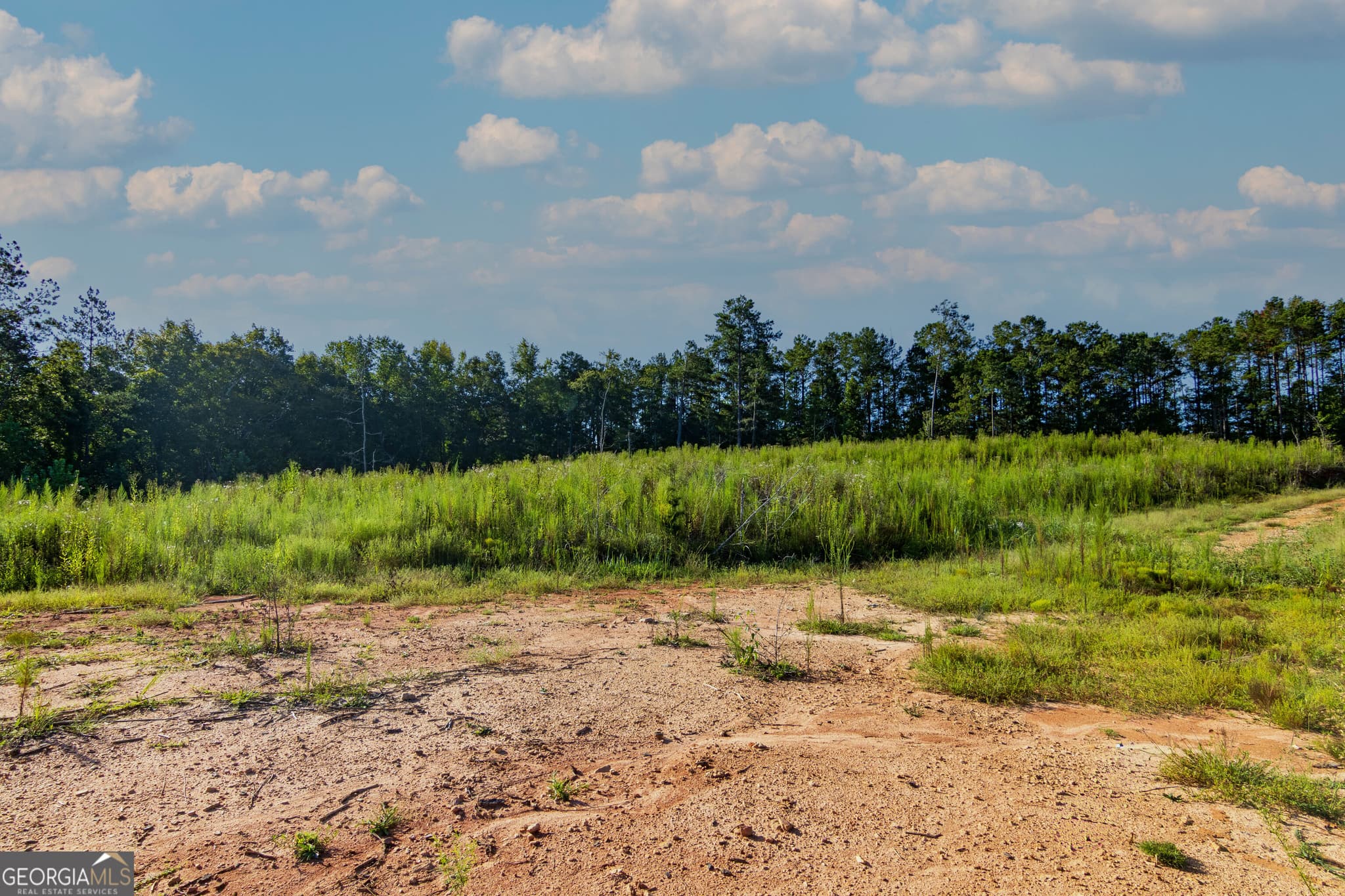unimproved land for sale at TRACT 1 Highway 0036, Woodland, GA 31836 — photo 8