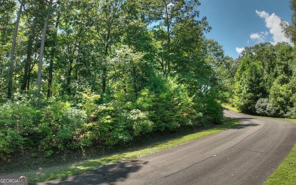 residential lot for sale at 138 Harris Creek Drive 138, Ellijay, GA 30540 — photo 6