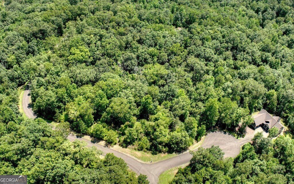 residential lot for sale at 138 Harris Creek Drive 138, Ellijay, GA 30540 — photo 7