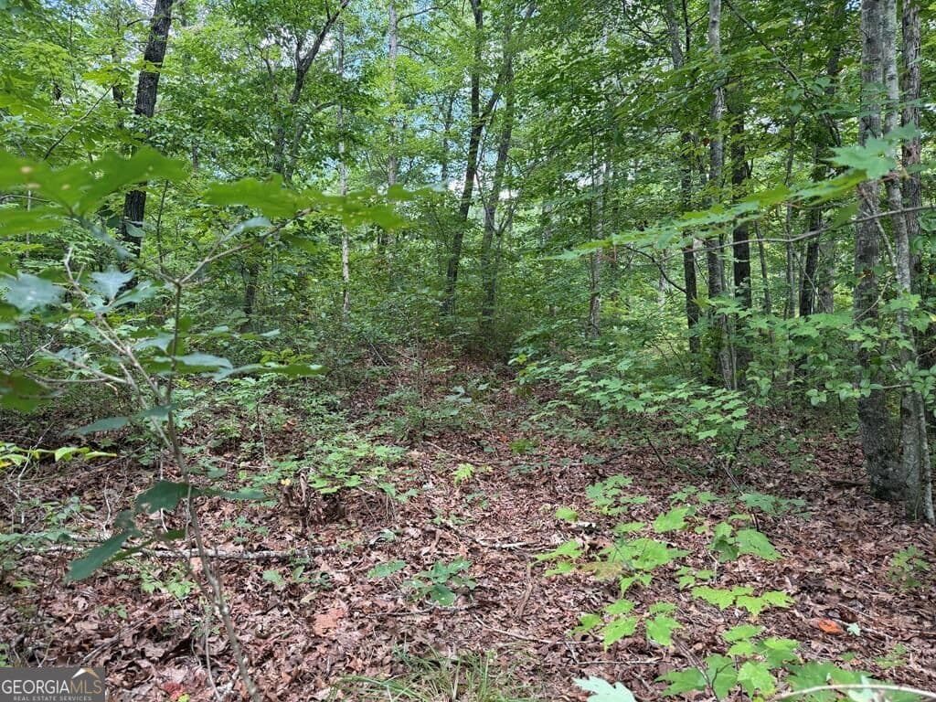 residential lot for sale at 138 Harris Creek Drive 138, Ellijay, GA 30540 — photo 3
