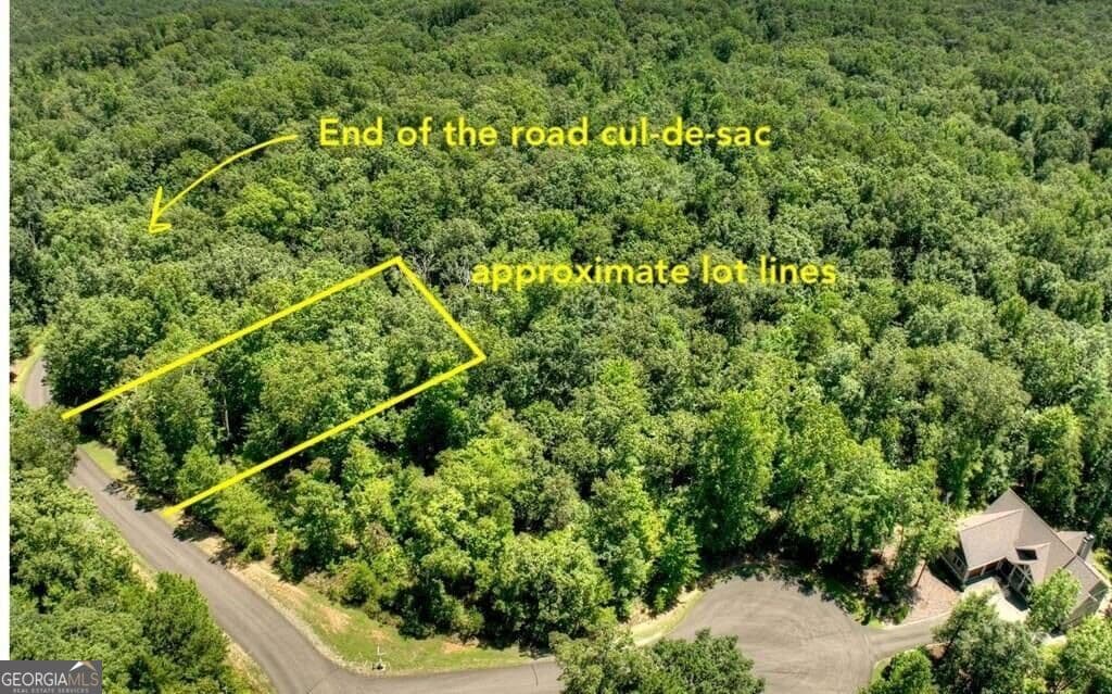 residential lot for sale at 138 Harris Creek Drive 138, Ellijay, GA 30540 — photo 1 of 39