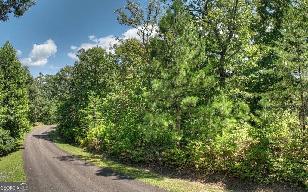 residential lot for sale at 138 Harris Creek Drive 138, Ellijay, GA 30540 — photo 5