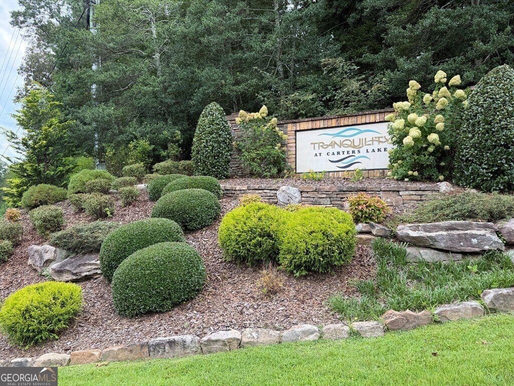 residential lot for sale at 138 Harris Creek Drive 138, Ellijay, GA 30540 — photo 9