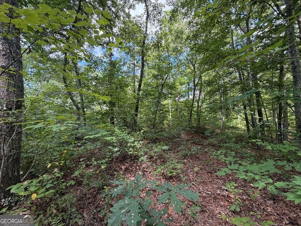 residential lot for sale at 138 Harris Creek Drive 138, Ellijay, GA 30540 — photo 4